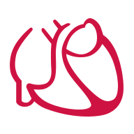 www.kardiologie.org